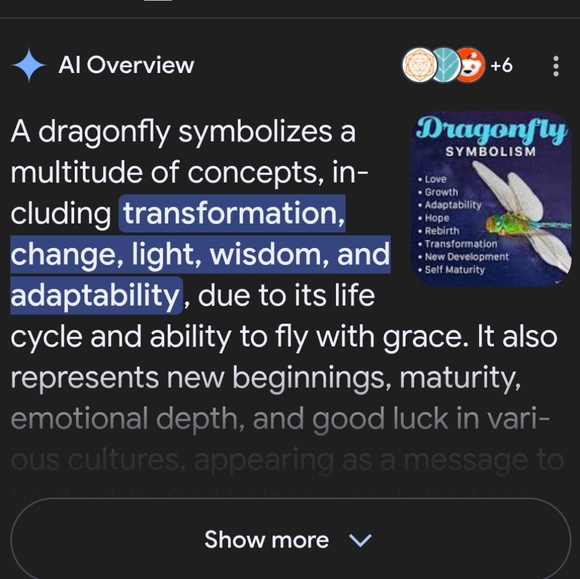 🌴 NWT Green Tee Top With Blue Dragonfly - Picture 11 of 11